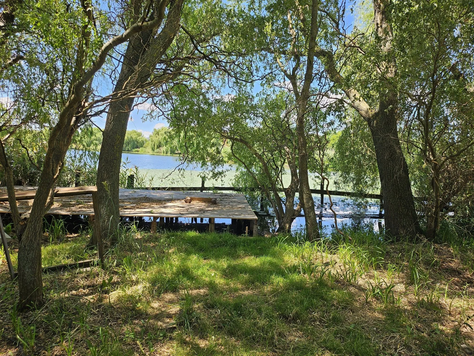 Casa cu teren - deschidere directa la lacul Corbeanca