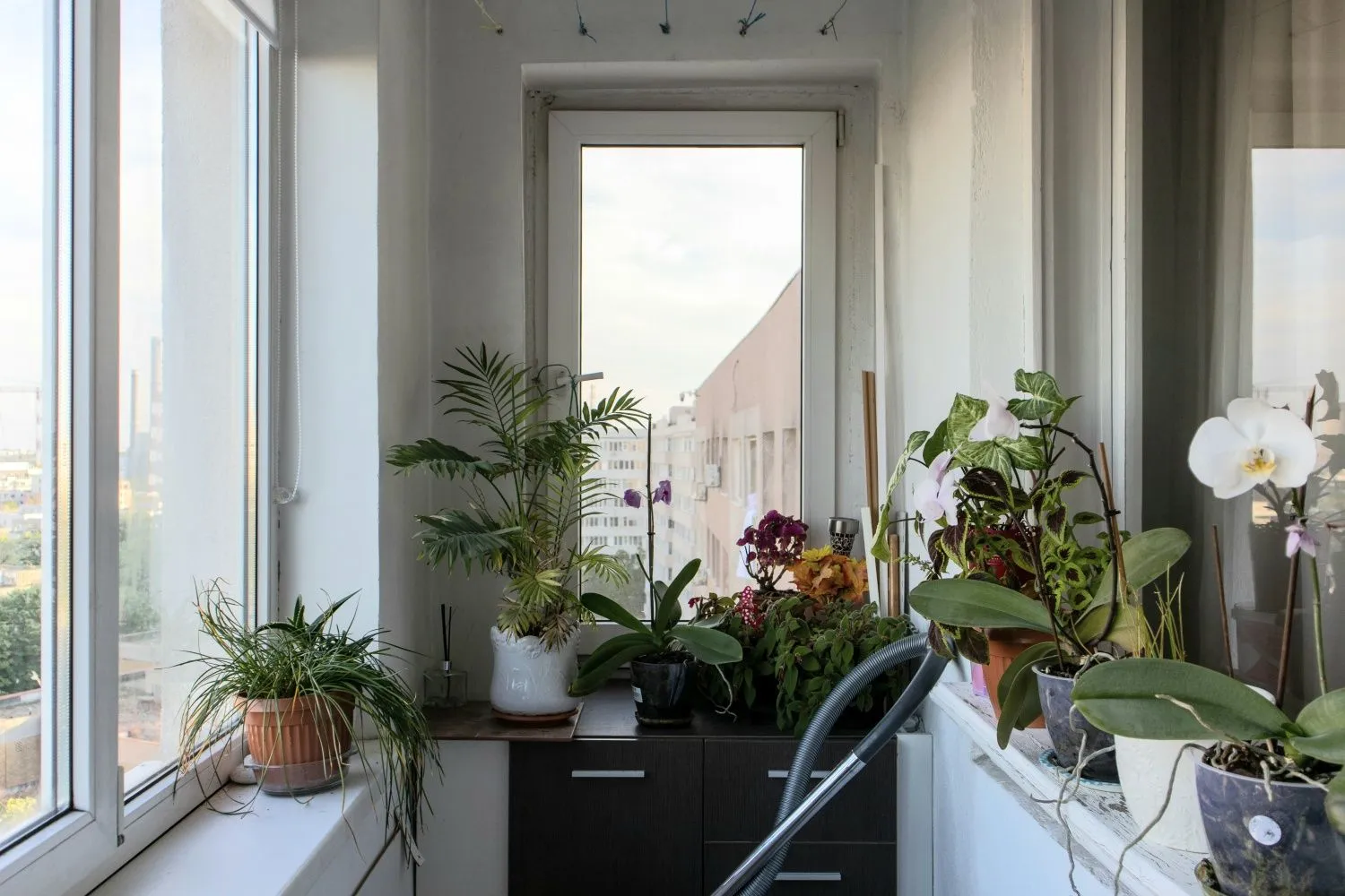 Particular apartament 3 camere zona Titan liceu Dante Alighieri