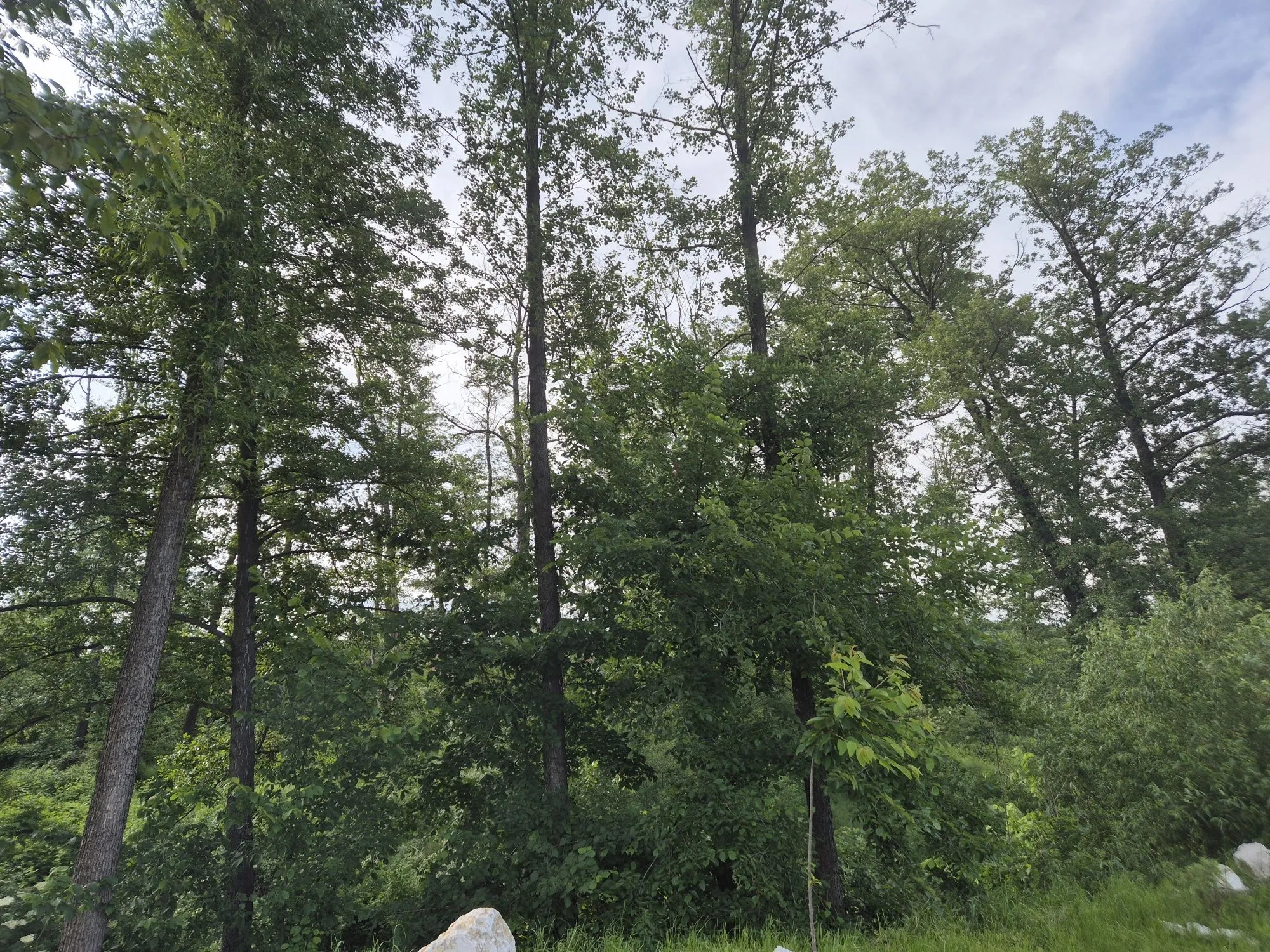 Casa +1380mp teren locatie superba