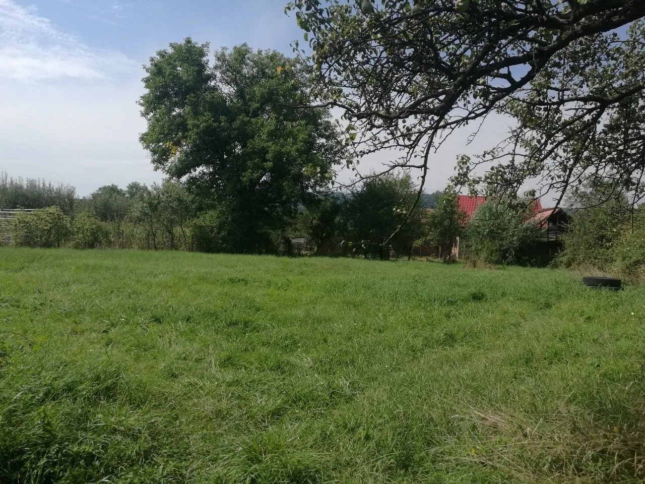 Vand teren Curtea de Arges-Transfagarasan