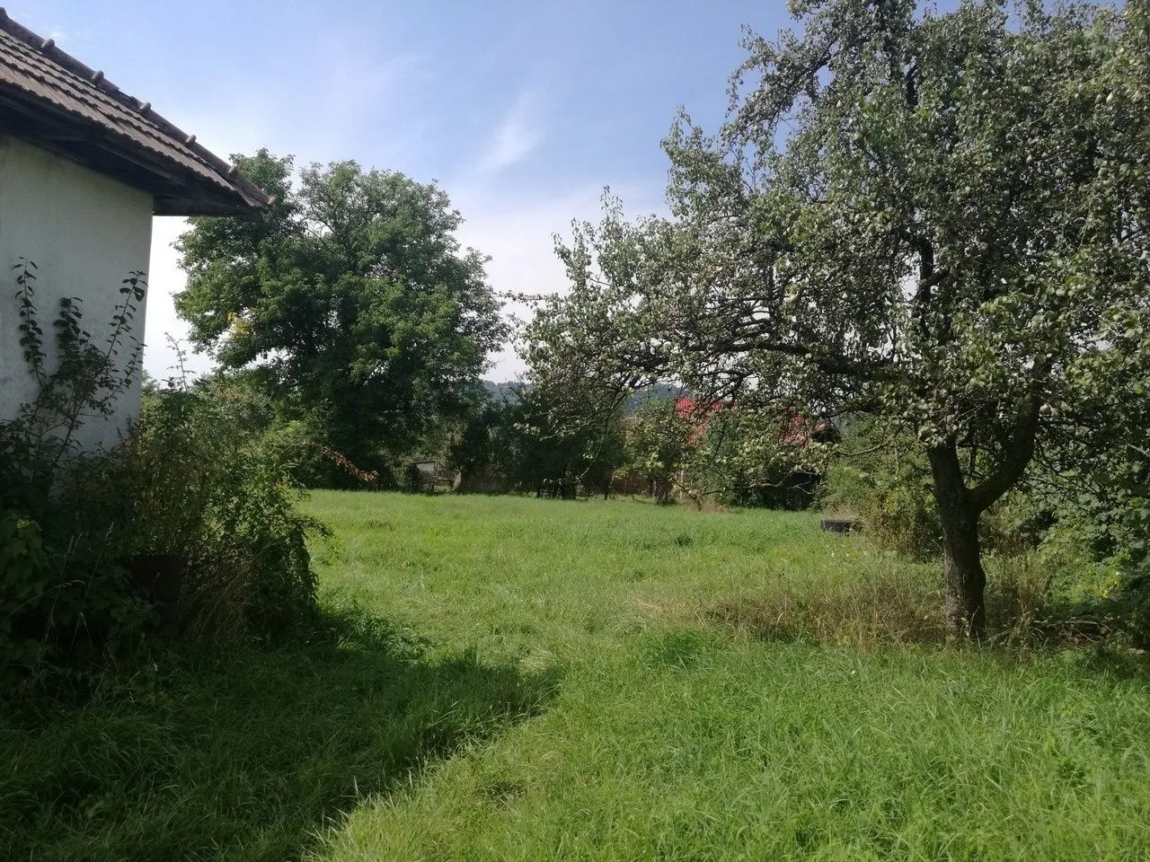 Vand teren Curtea de Arges-Transfagarasan