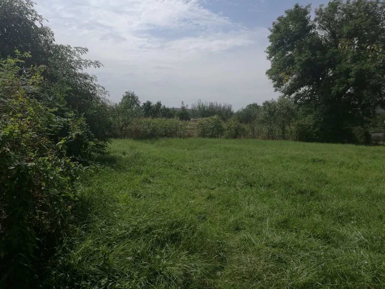 Vand teren Curtea de Arges-Transfagarasan