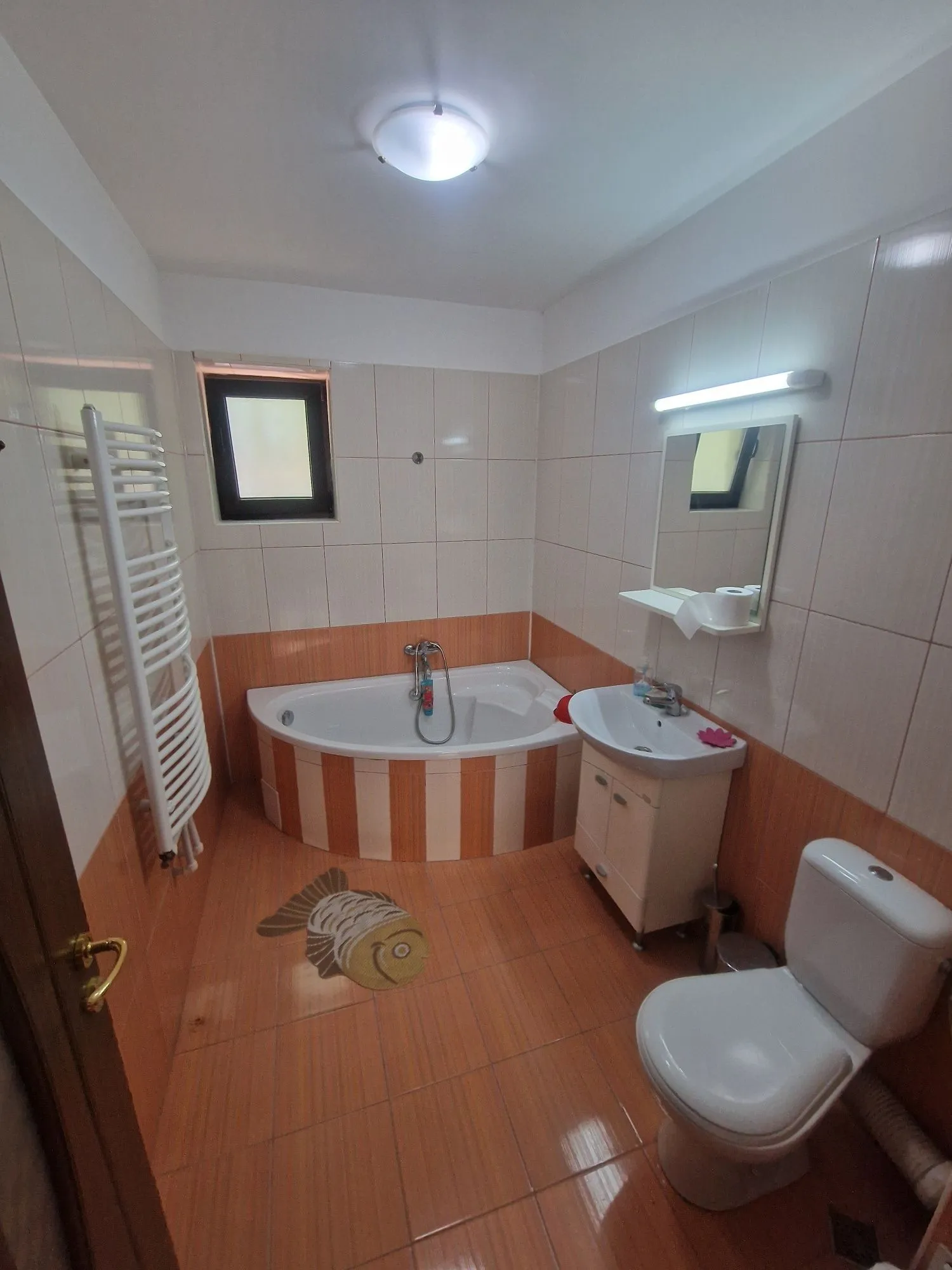 Vila de vanzare Pitesti