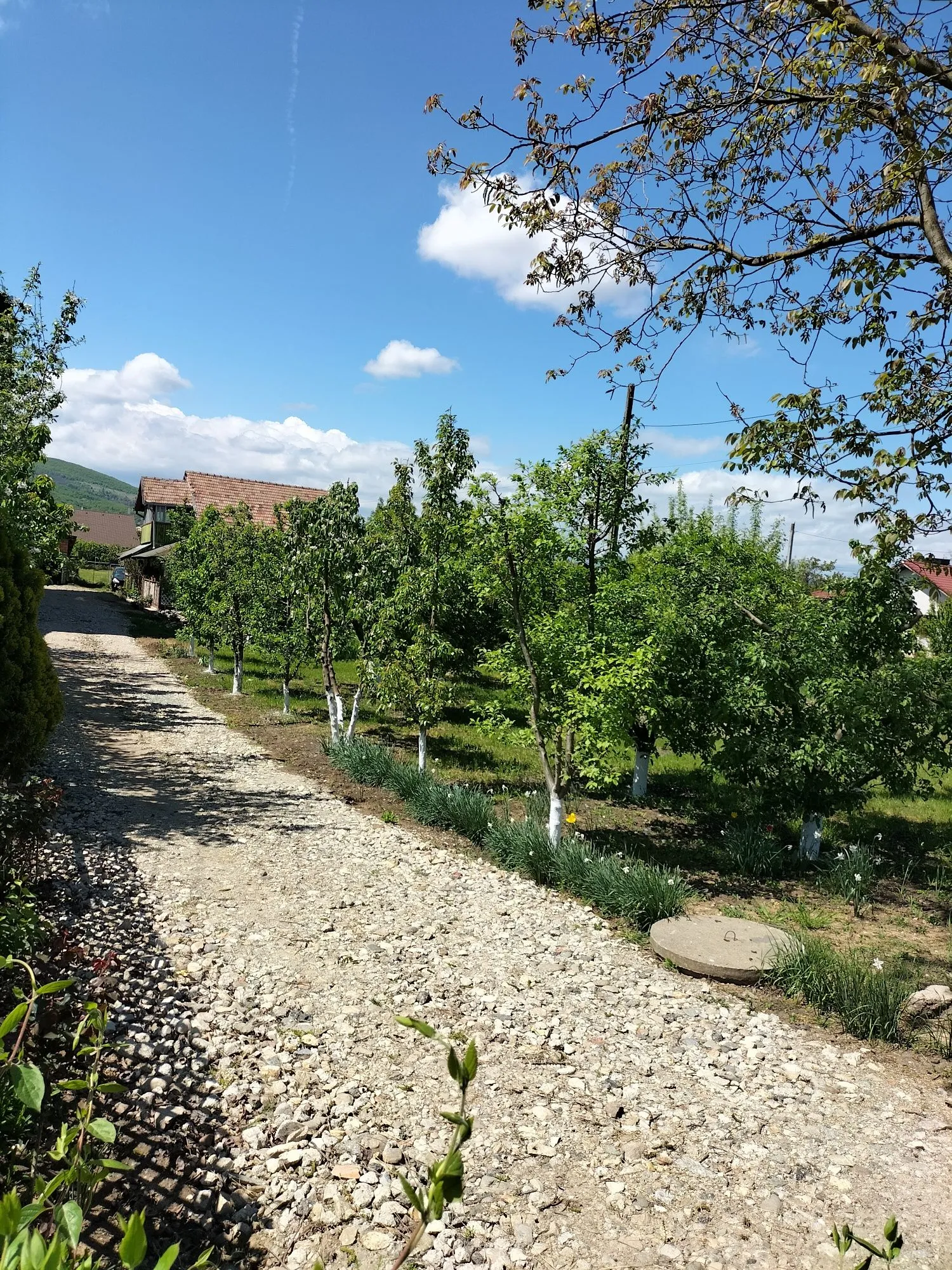 Casa si Teren in Alba Iulia in spatele Bazinului Olimpic